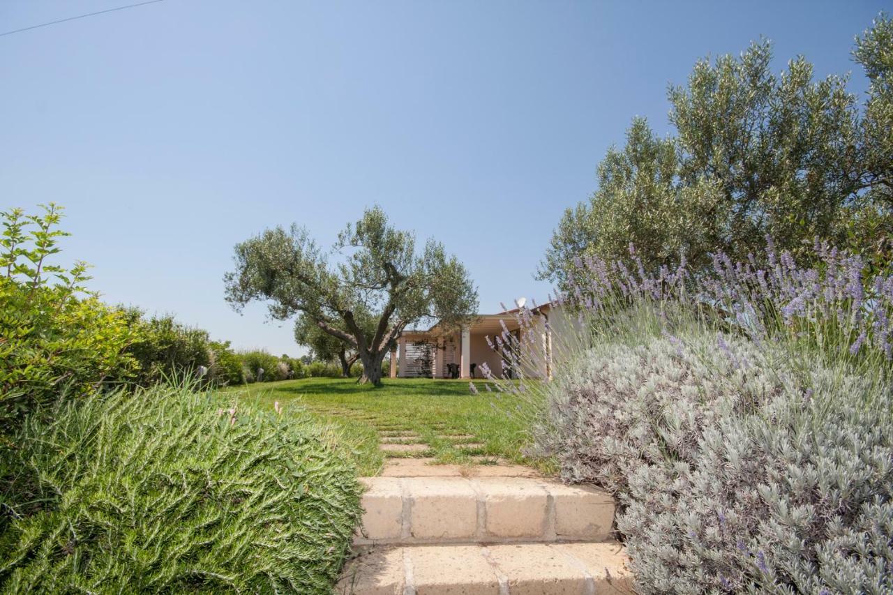 Agriturismo Il Mirto Pescia Romana Exterior photo